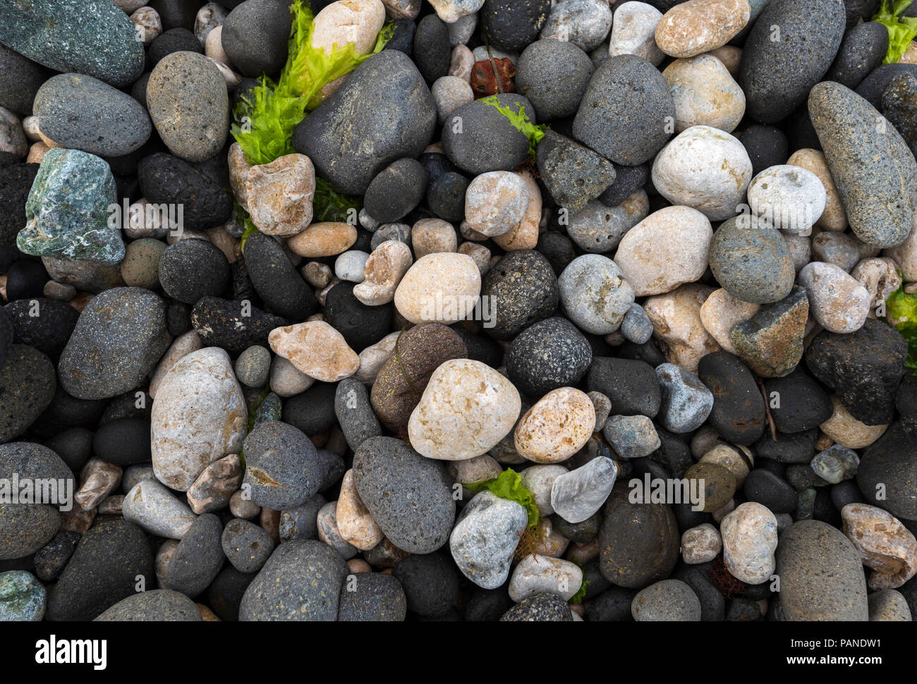 Bemooste Steine Meer Stockfoto