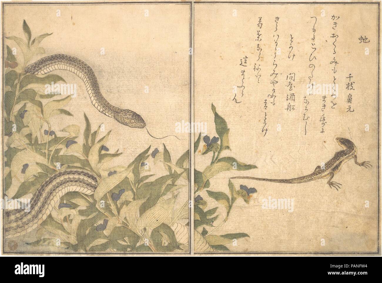 Ratte Schlange (Hebi); Echse oder Skink (tokage), aus dem Bilderbuch der kriechenden Kreaturen (Ehon Musi erami). Artist: Kitagawa Utamaro (Japanisch, Ca. 1754-1806). Kultur: Japan. Abmessungen: Insgesamt: 10 1/2 x 7 1/4 in. (26,7 x 18,4 cm). Datum: 1788. Ehon Musi erami (Bild Buch der kriechenden Kreaturen) ist mit 15 Designs von Insekten und andere Kreaturen von Utamaro dargestellt. Von Tsutaya Juzaburo veröffentlicht, die Gedichte wurden ausgewählt und durch ein Vorwort geschrieben von dem Dichter und Gelehrter Yadoya keine Meshimori (Rokujuen eingeführt; 1753-1830), der später zum Leiter des einflussreichen Gehen wurde-gawa Poesie Stockfoto