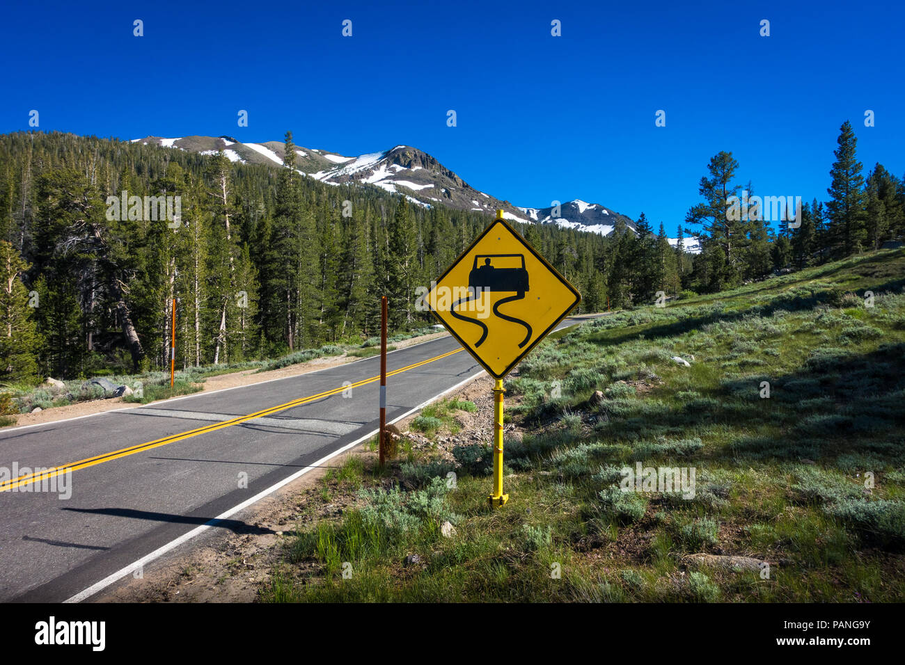 Der Gelbe lippery Road" mit verschneiten Wald Gipfeln - Highway 108 am Straßenrand, Kalifornien Stockfoto