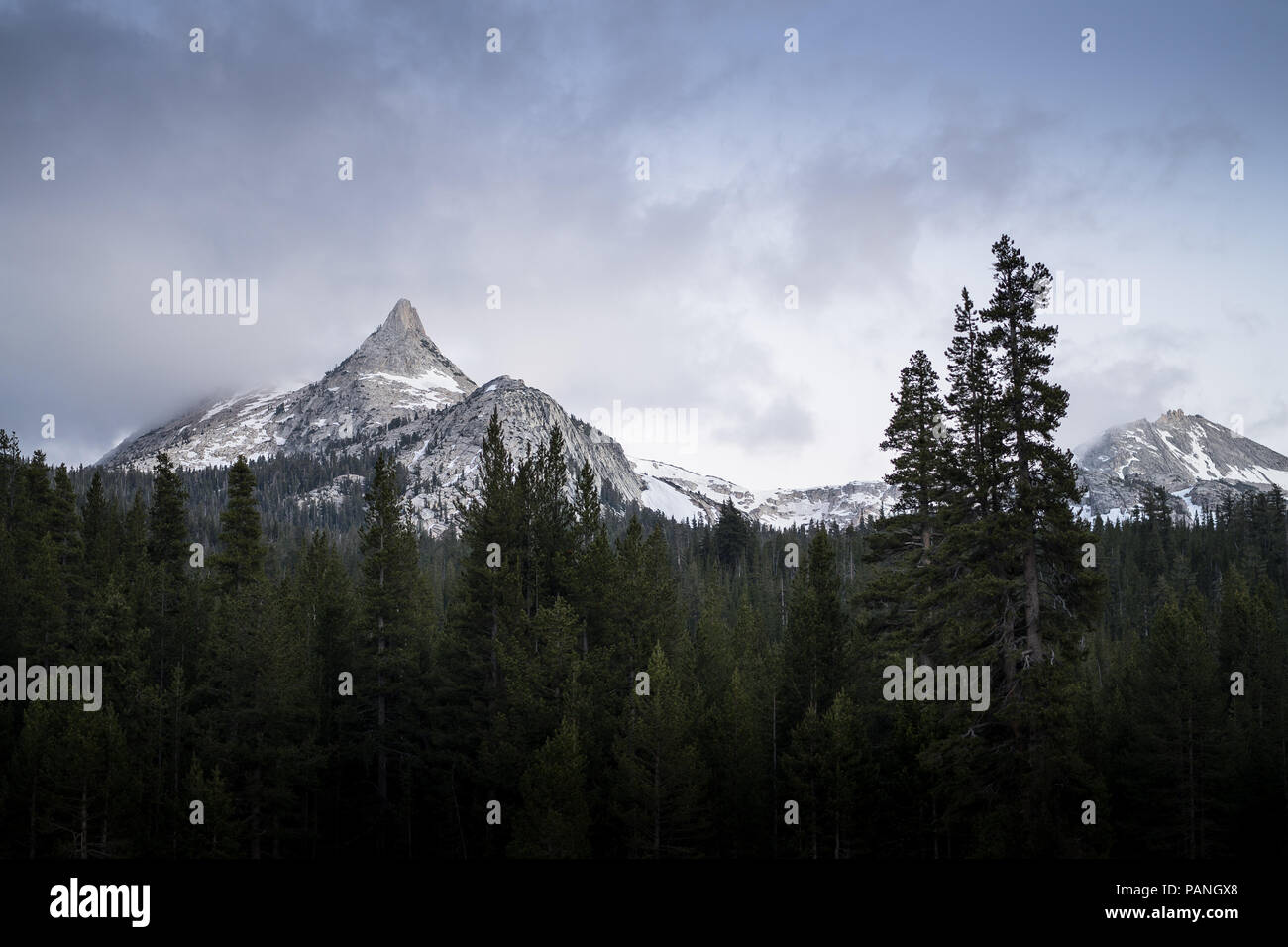 Perfekte Kegel des Cathedral Peak Mountain, von Tioga Pass bei Tuolumne Wiesen - Yosemite National Park Stockfoto