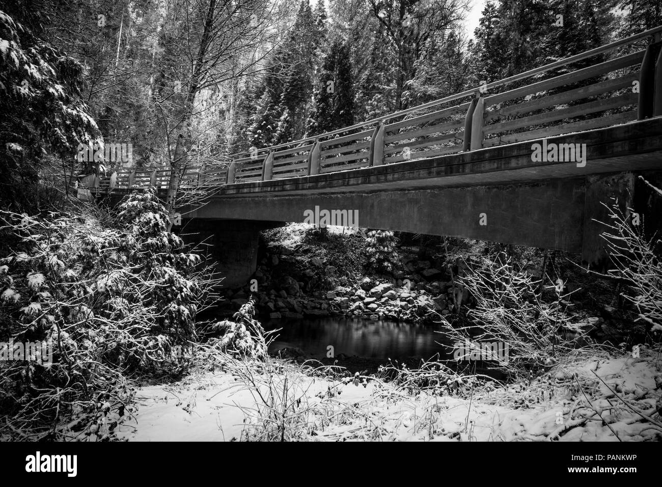 Schnee bedeckt Tuolumne River Canyon in Schwarz und Weiß - unterhalb einer Brücke bei Evergreen Road-Highway 120, Yosemite Nationalpark Stockfoto