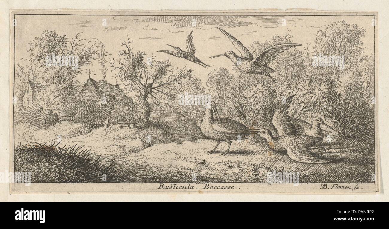 (Beccasse Rusticula, die Waldschnepfe): Livre d'Oyseaux (Buch der Vögel). Artist: Albert Flamen (Flämisch, geboren Ca. 1620, aktive 1648-88). Maße: Blatt: 4 x 7 15/16 in. (10,2 x 20,2 cm). Serie/Portfolio: Livre d'Oyseaux (Buch der Vögel). Datum: 1655-1660. Museum: Metropolitan Museum of Art, New York, USA. Stockfoto