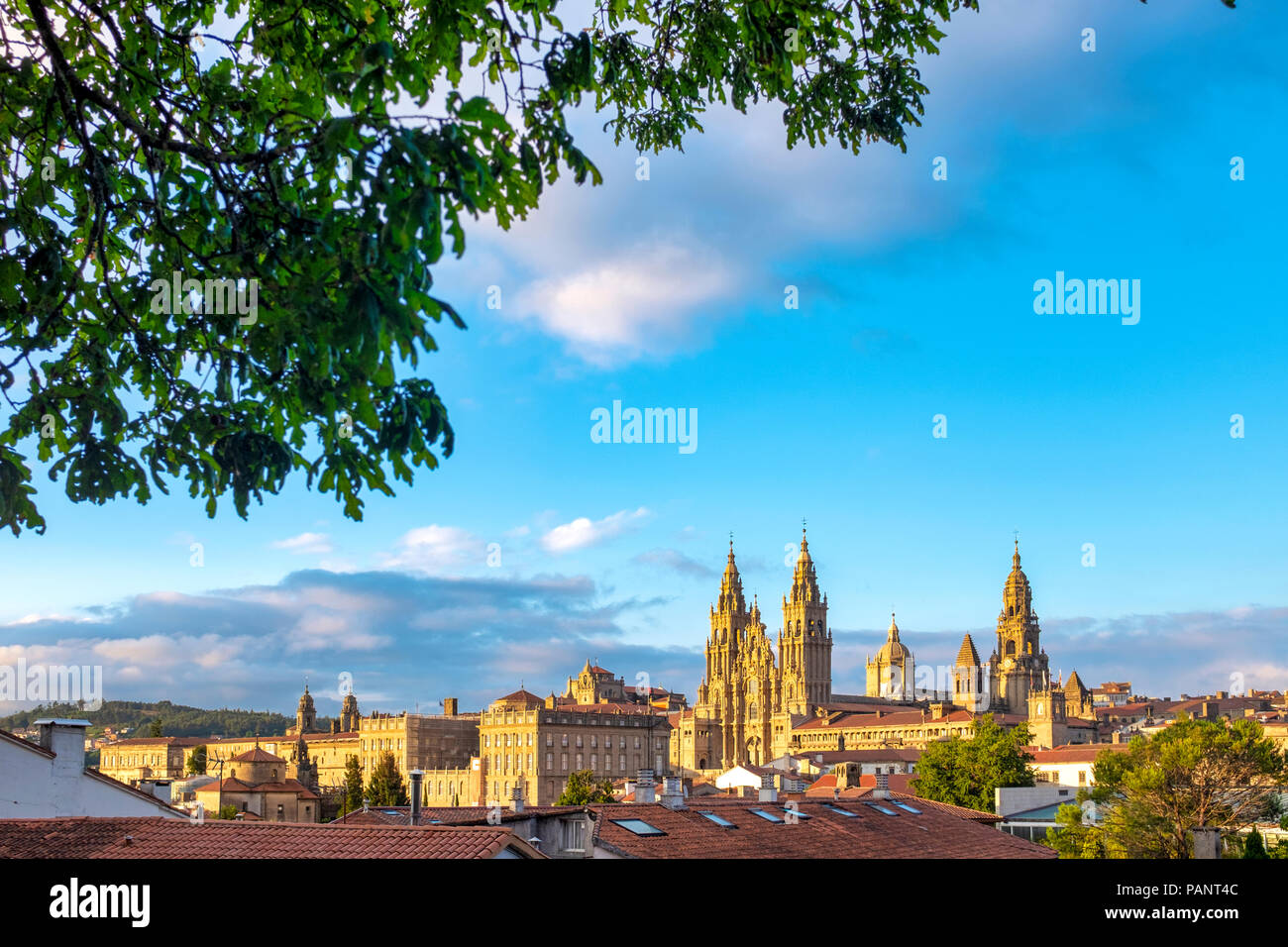 Blick auf die Kathedrale von Santiago de Compostela, Santiago de Compostela, Galicien, Spanien Stockfoto