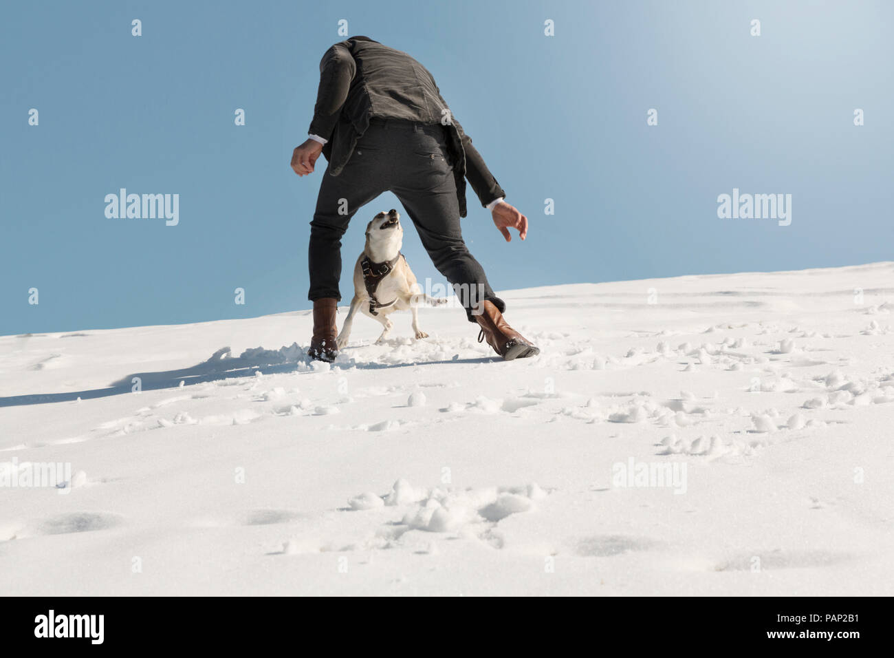 Mann spielt mit Hund im Winter, Spaß im Schnee Stockfoto