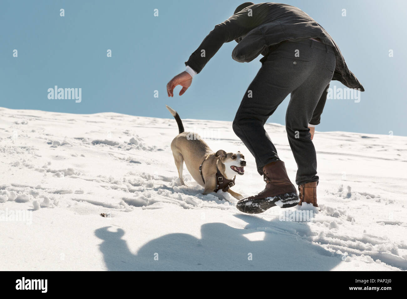 Mann spielt mit Hund im Winter, Spaß im Schnee Stockfoto