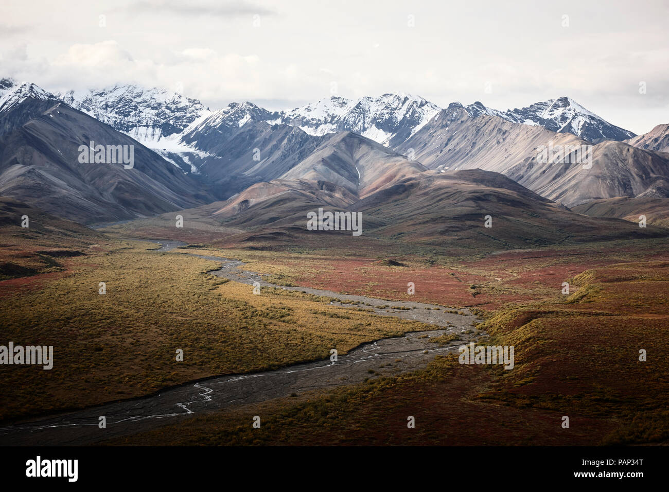 USA, Alaska, Denali National Park, Alaska Range im Herbst Stockfoto