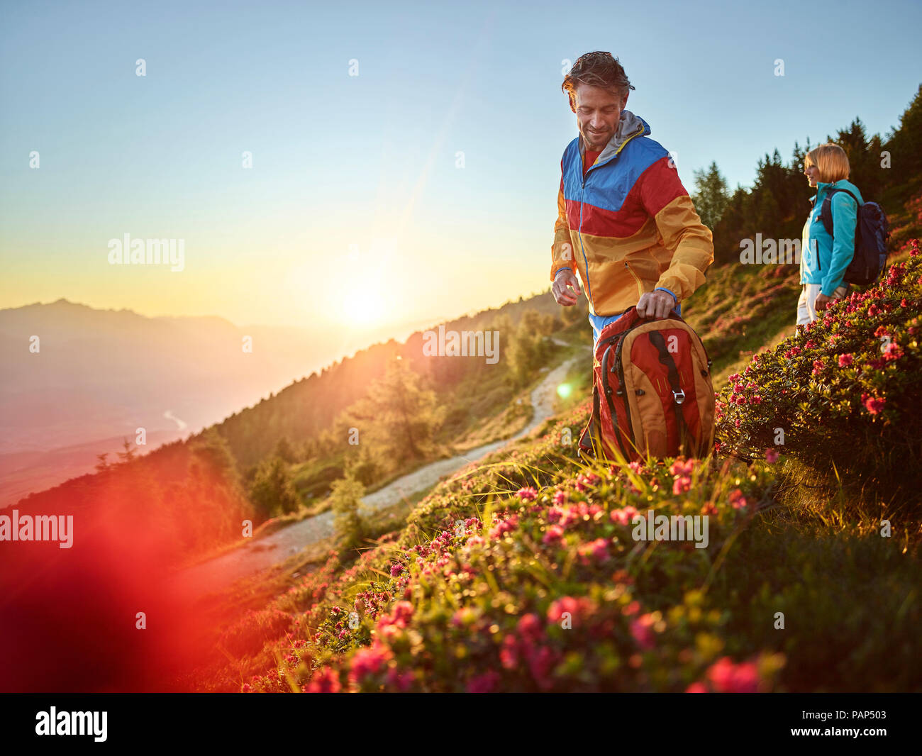 Österreich, Tirol, Paar Wandern auf dem Zirbenweg am Patscherkofel, Ergebnisse anzeigen Stockfoto