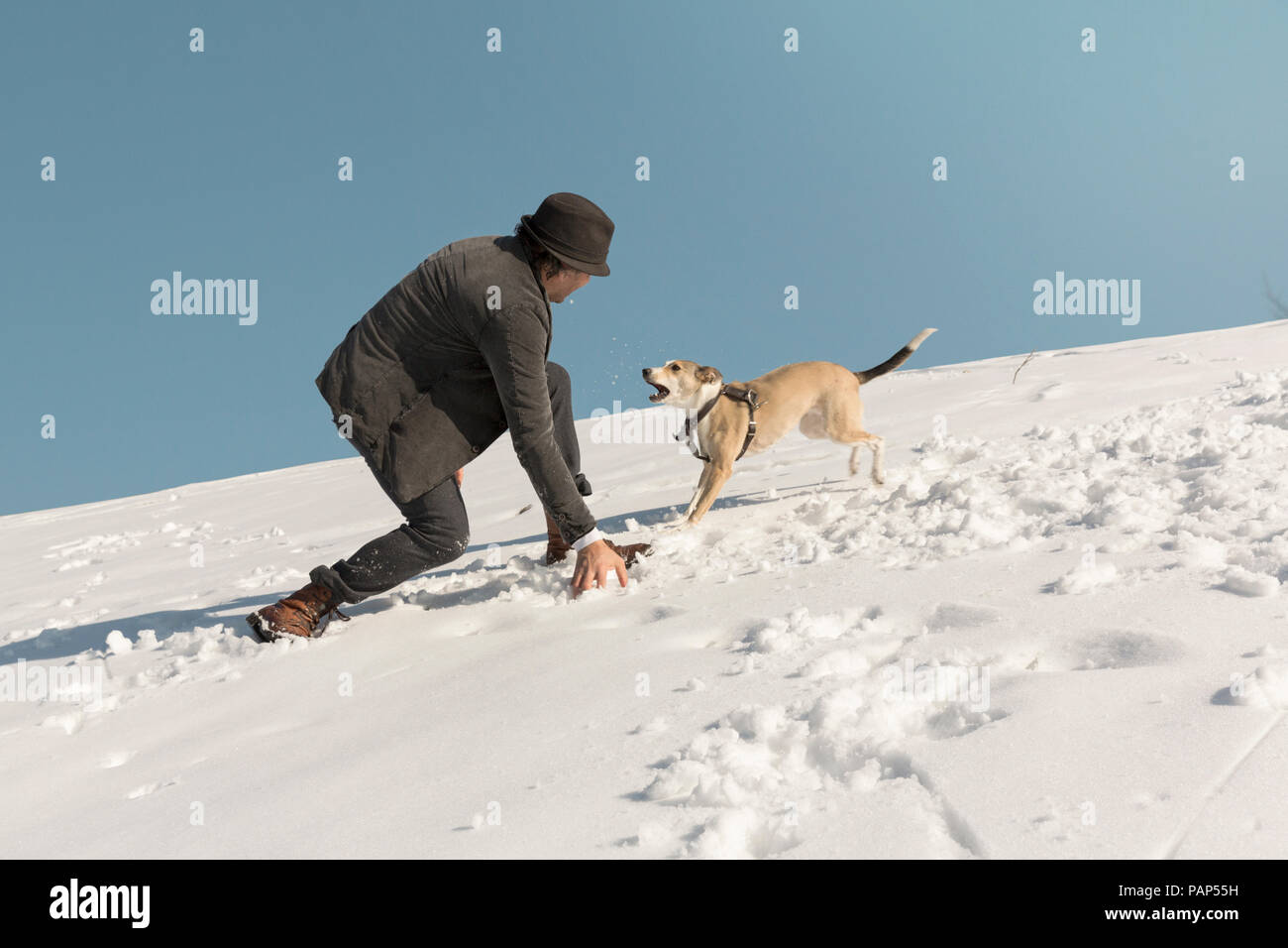 Mann spielt mit Hund im Winter, Schnee werfen Stockfoto