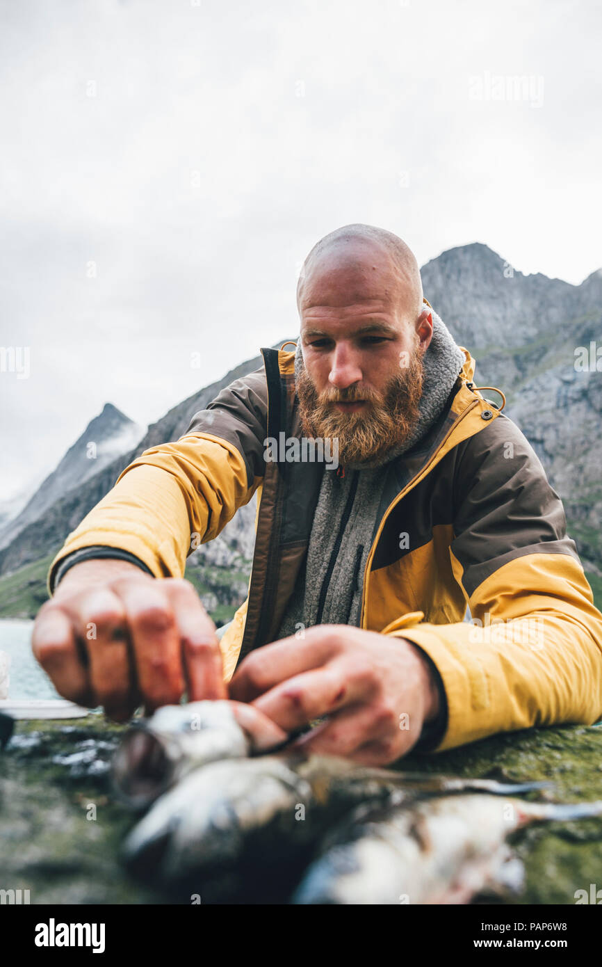 Norwegen, Lofoten, Moskenesoy, junge Männer Reinigung frisch gefangenen Fisch bei Horseid Strand Stockfoto