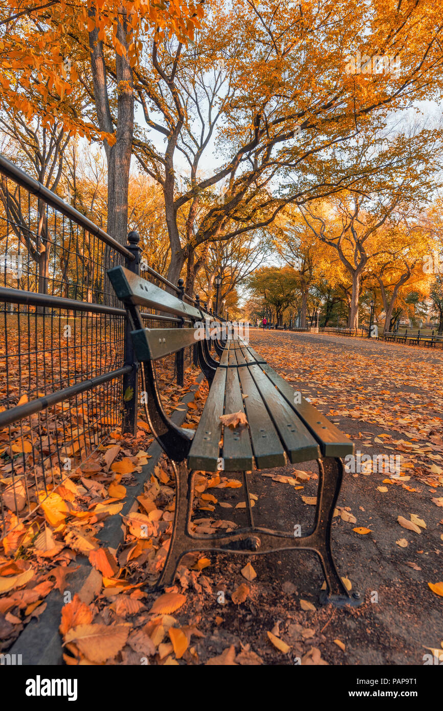 USA, New York City, Manhattan, Central Park im Herbst Stockfoto