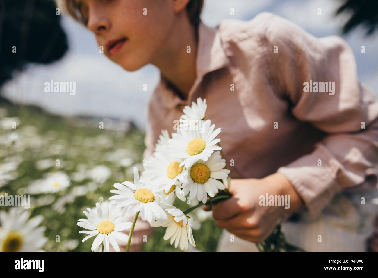 Junge Blumen pflücken auf einer Wiese Stockfoto