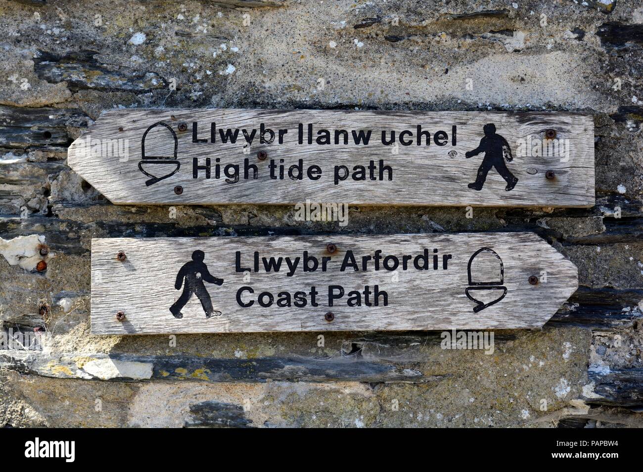 Alte hölzerne zweisprachig Englisch Walisisch Fußweg Wegweisung Flut Pfad und Coastal Path an einer Wand Newport Pembrokeshire Wales Cymru GROSSBRITANNIEN Stockfoto