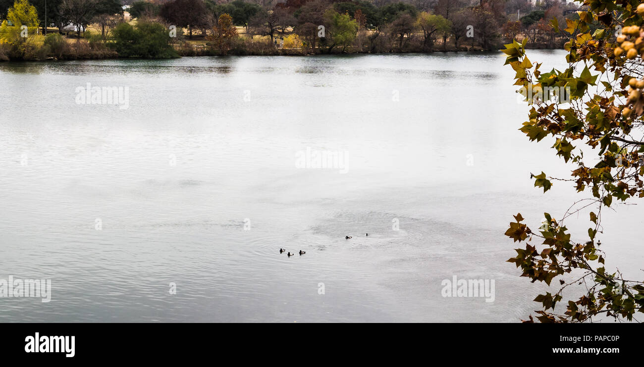 Blick auf den Lady Bird Lake mit ruhigen glasklaren Gewässer in Austin, Texas. Stockfoto