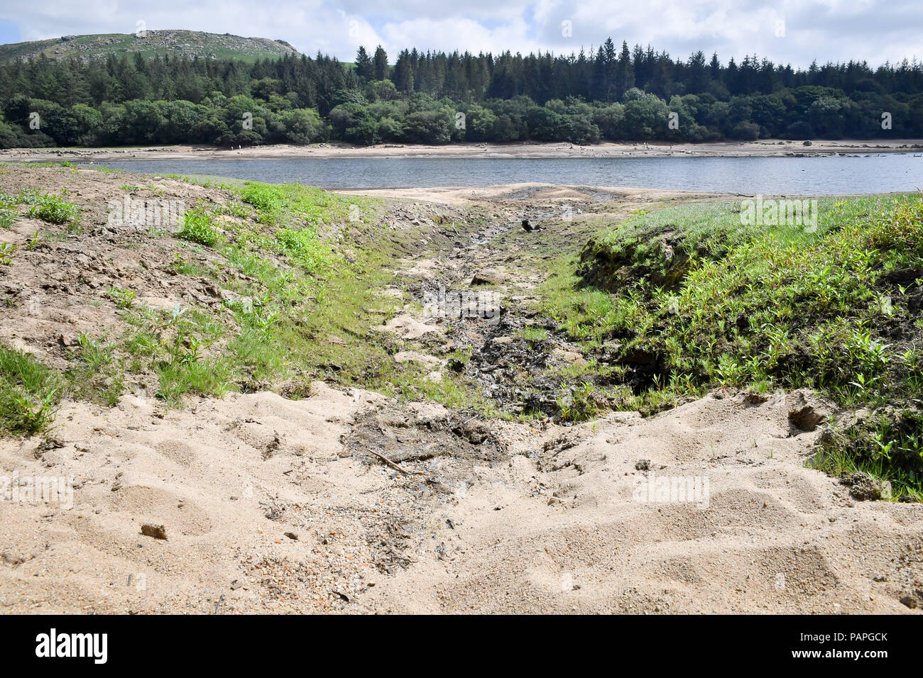 Wasser Ebenen fallen zu niedrig am Burrator Reservoir, Dartmoor, Devon, während der trockensten Sommer seit Beginn der modernen Aufzeichnungen begann 1961, als die Region bereitet sich Millionen von Urlaubern über die Schule Sommerpause und die South West Water begrüßen zu dürfen bittet alle Wasser klug zu nutzen. Stockfoto