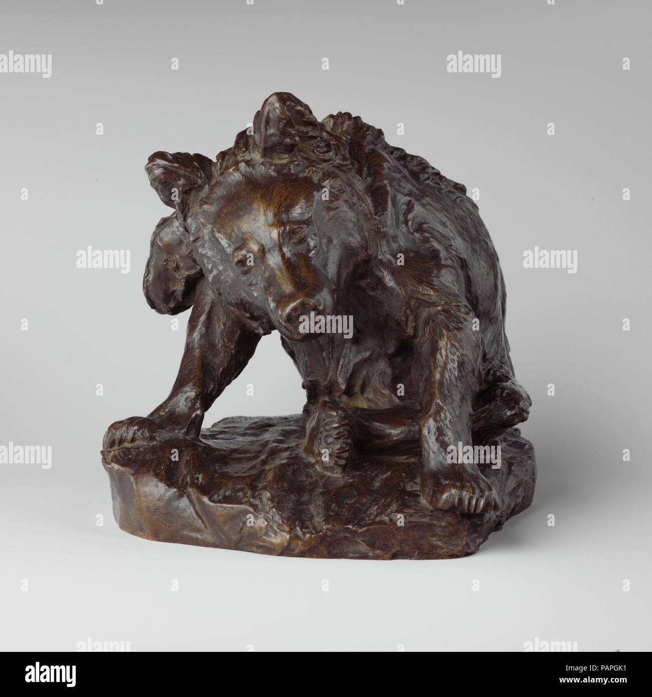 Bear Cub Pflege. Artist: Paul Wayland Bartlett (American, New Haven, Connecticut 1865-1925 Paris). Abmessungen: 9 1/2 x 9 5/8 x 10 5/8 in. (24,1 x 24,4 x 27 cm). Datum: 1887. 1889 Bartlett erwarb einen Grand Prix für seine lifesize Bronze BÖHMISCHEN tragen Tamer an der Exposition Universelle in Paris. Die multifigure Skulptur, jetzt auf Ansicht in der Charles Engelhard Gericht der amerikanischen Flügel, war für die Metropolitan 1891 (acc gekauft..Nr. 91.14). Bartlett kapitalisiert auf seinem Erfolg casting Kürzungen nach dem Gypsy Abbildung und stehender Bär sowie die sitzende Bärenjunges; er war einer der f Stockfoto