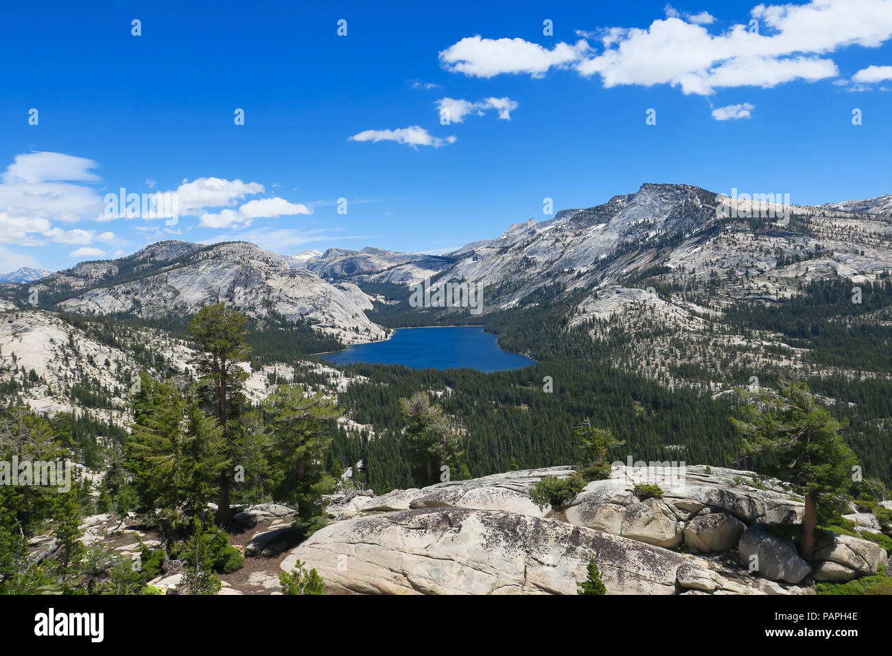 Tenaya Lake und Alpine Landschaft, von oben, aus Olmsted Point - Yosemite National Park Stockfoto