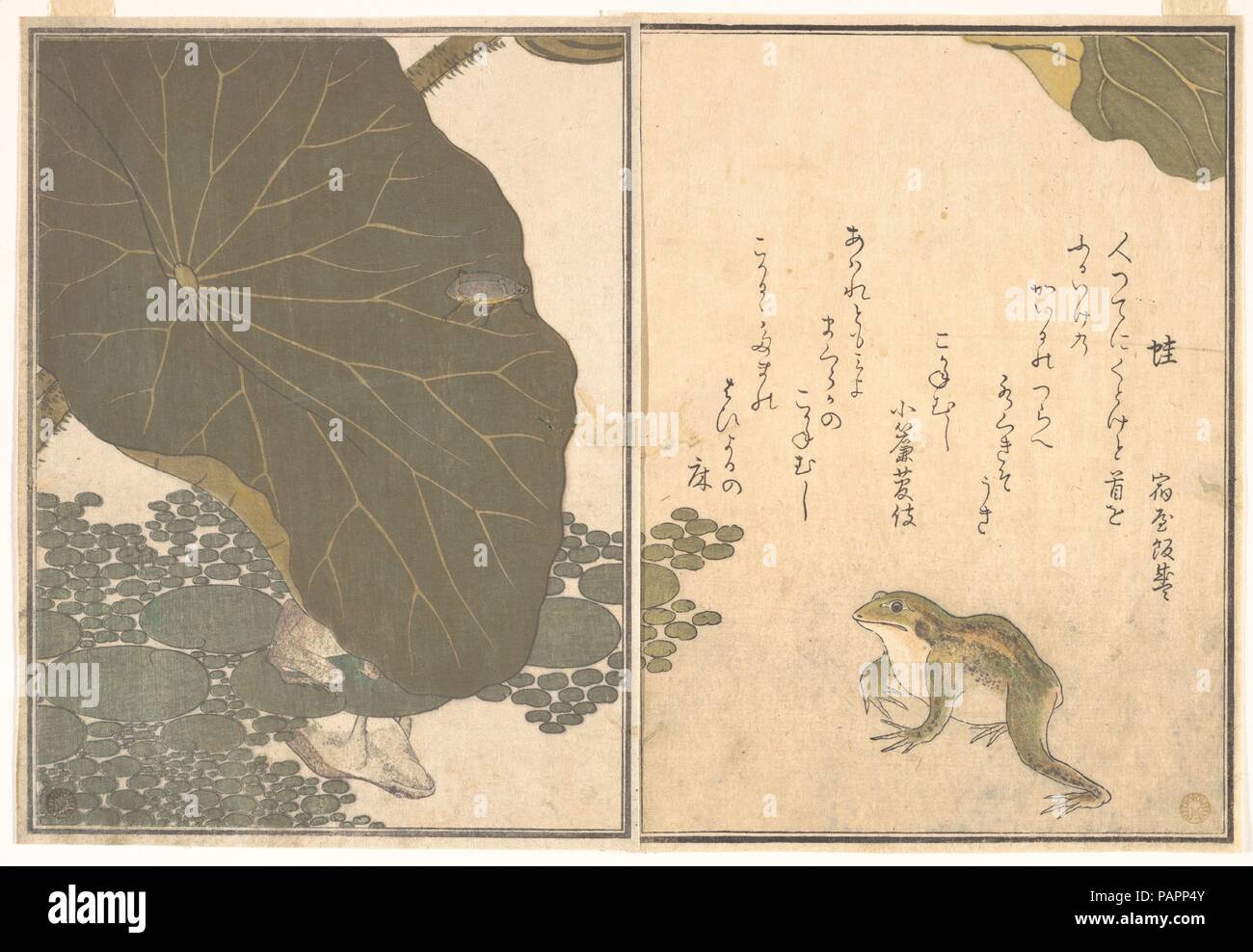 Frosch (Kaeru); Gold Käfer (Kogane Musi), aus dem Bilderbuch der kriechenden Kreaturen (Ehon Musi erami). Artist: Kitagawa Utamaro (Japanisch, Ca. 1754-1806). Kultur: Japan. Abmessungen: 10 1/2 x 7 7/32 in. (26,7 x 18,4 cm). Datum: 1788. Ehon Musi erami (Bild Buch der kriechenden Kreaturen) ist mit 15 Designs von Insekten und andere Kreaturen von Utamaro dargestellt. Von Tsutaya Juzaburo veröffentlicht, die Gedichte wurden ausgewählt und durch ein Vorwort geschrieben von dem Dichter und Gelehrter Yadoya keine Meshimori (Rokujuen eingeführt; 1753-1830), der später zum Leiter des einflussreichen Gehen wurde-gawa Poesie Gruppe. S Stockfoto
