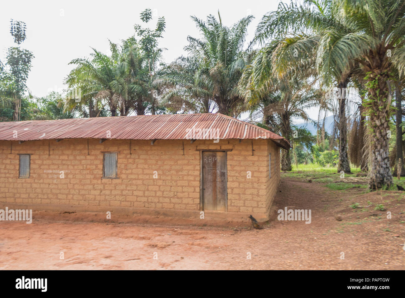 Eine ländliche Wohnung bestehend aus Schlamm Häuser und von Palmen umgeben Stockfoto