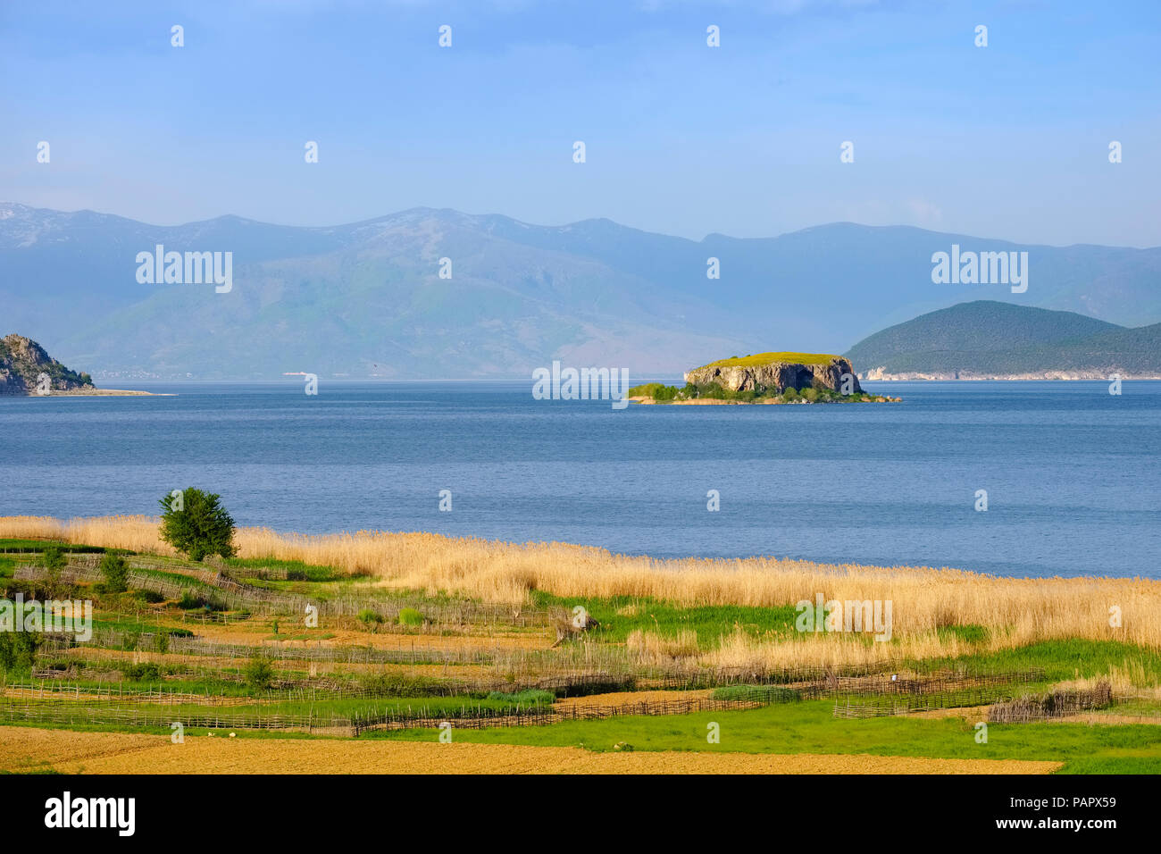 Albanien, Nationalpark, Lake Prespa Prespa mit Maligrad Island, Mazedonien im Hintergrund Stockfoto