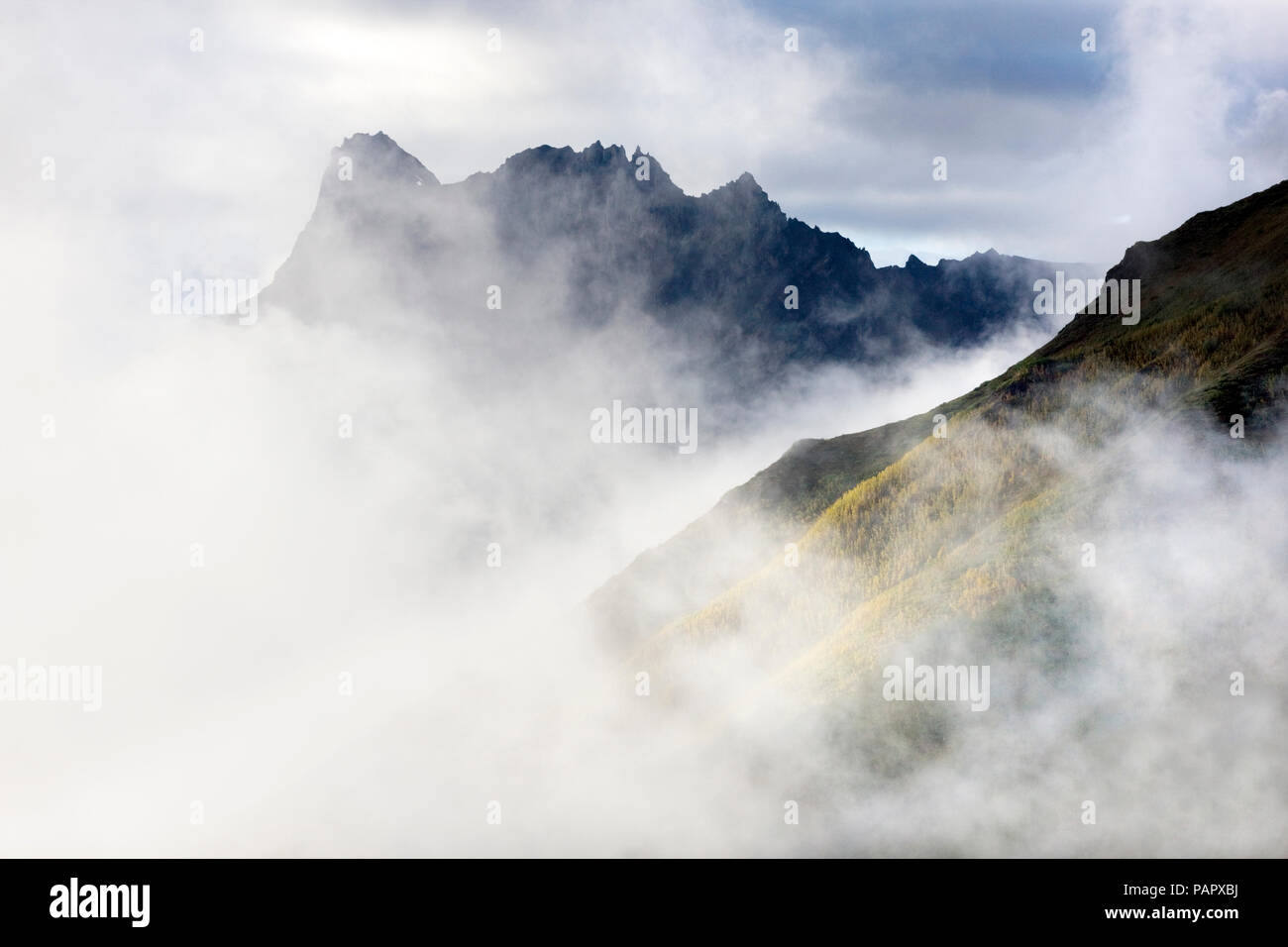 USA, Alaska, Wrangell-St. Elias National Park, in den Bergen im Nebel Stockfoto