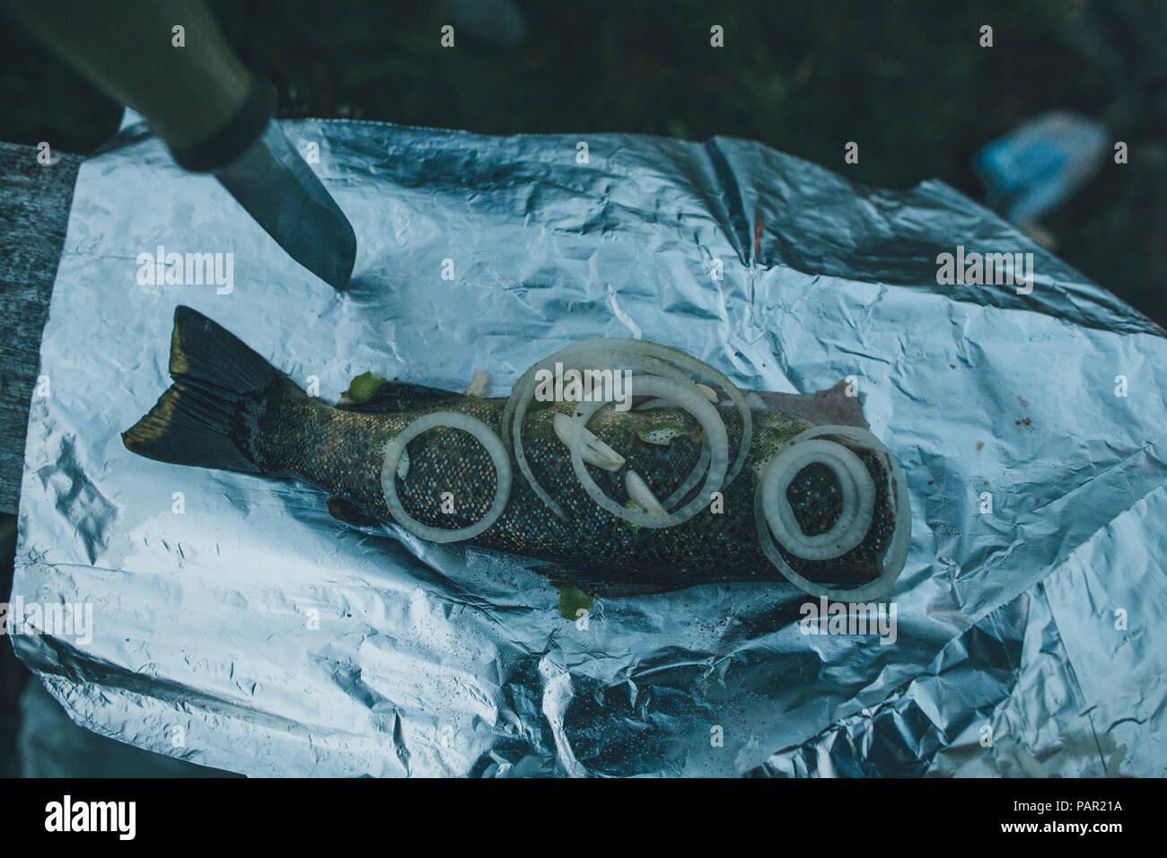 Norwegen, Lofoten, Moskenesoy, frisch gefangener Fisch in Alufolie, bereit zu kochen Stockfoto