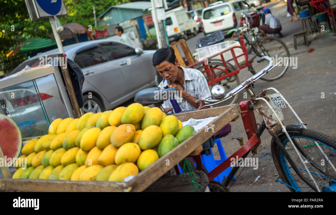 Mangofrüchte Verkäufer war wartenden Kunden auf der Straße, Yangon, Myanmar Stockfoto