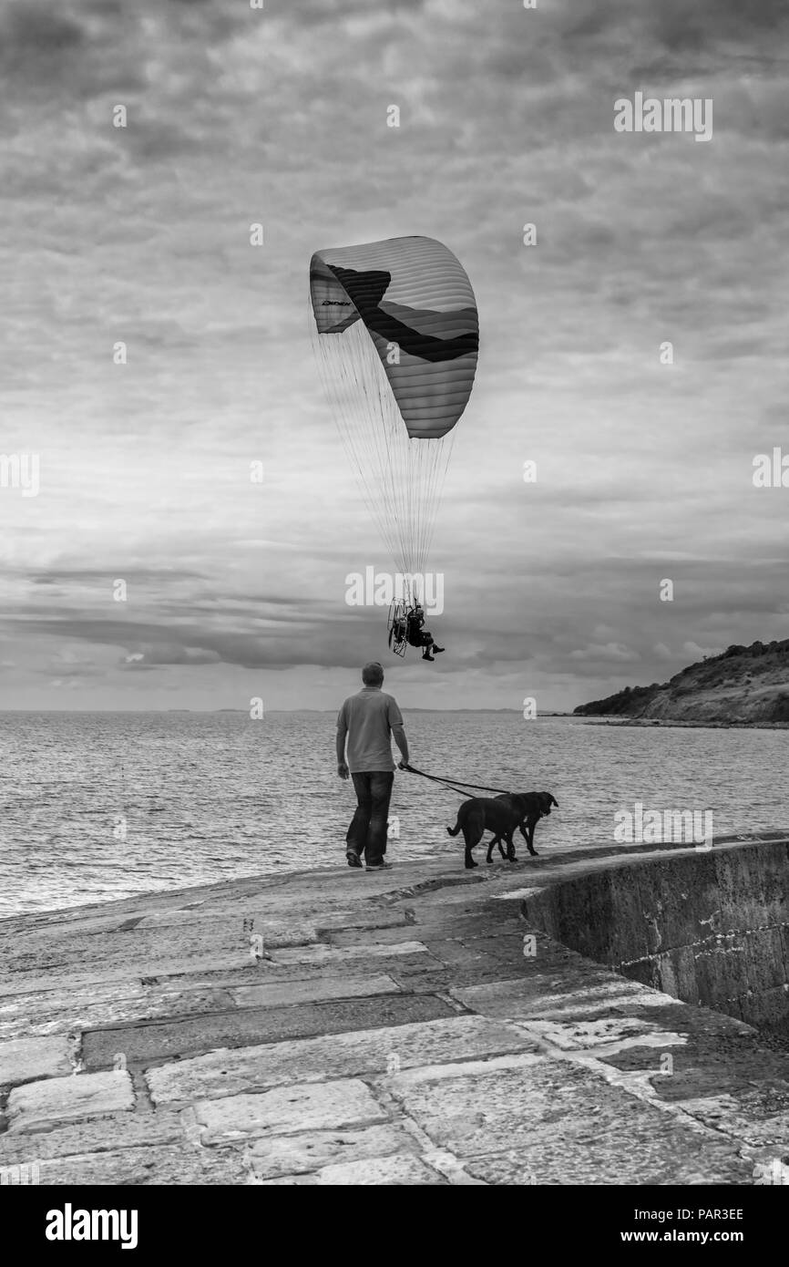 Ein Gleitschirm Segel serenely Vergangenheit ein Hund Walker auf dem Cobb in Lyme Regis in Dorset, England. Stockfoto