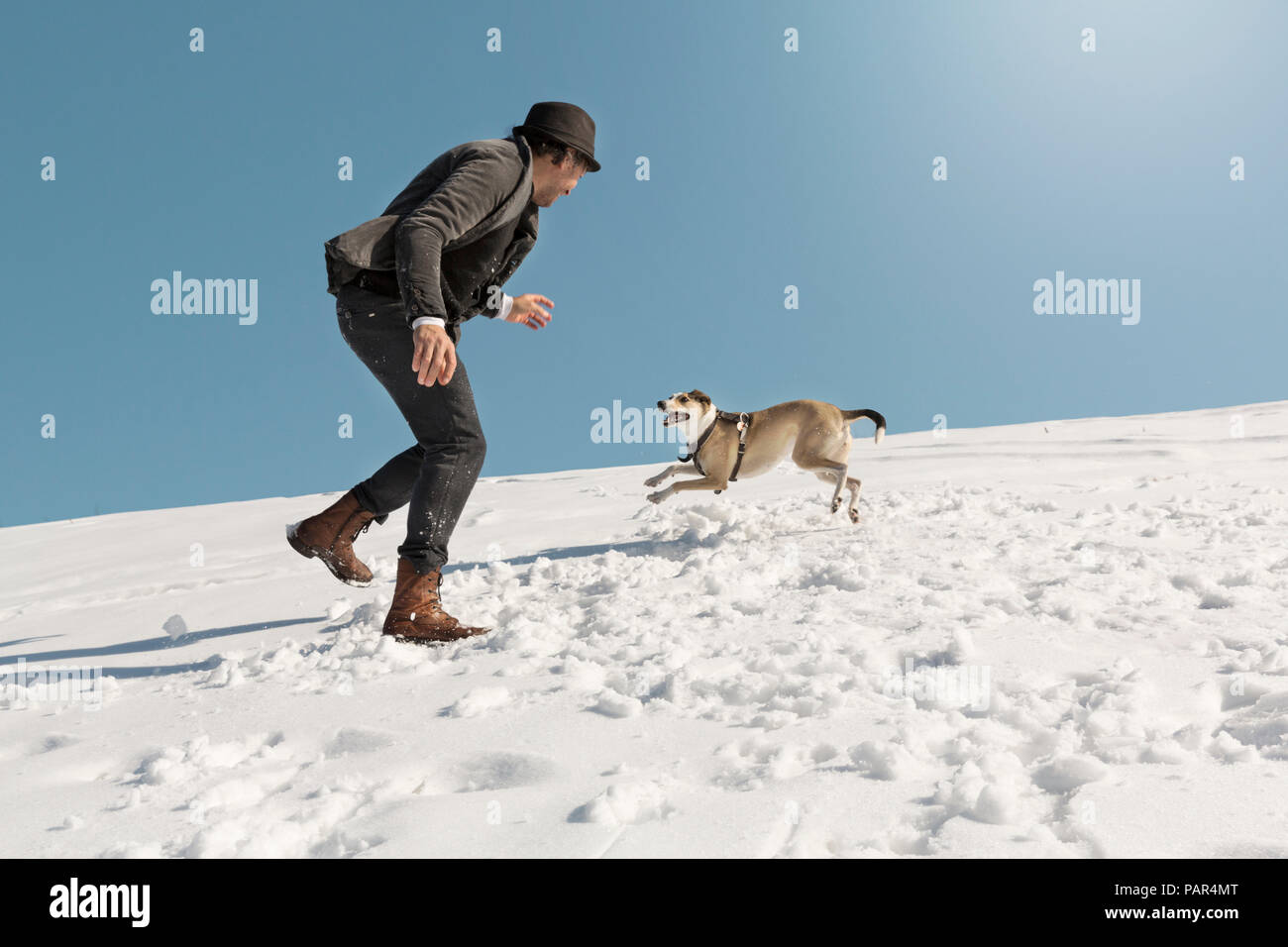Mann spielt mit Hund im Winter, Schnee werfen Stockfoto