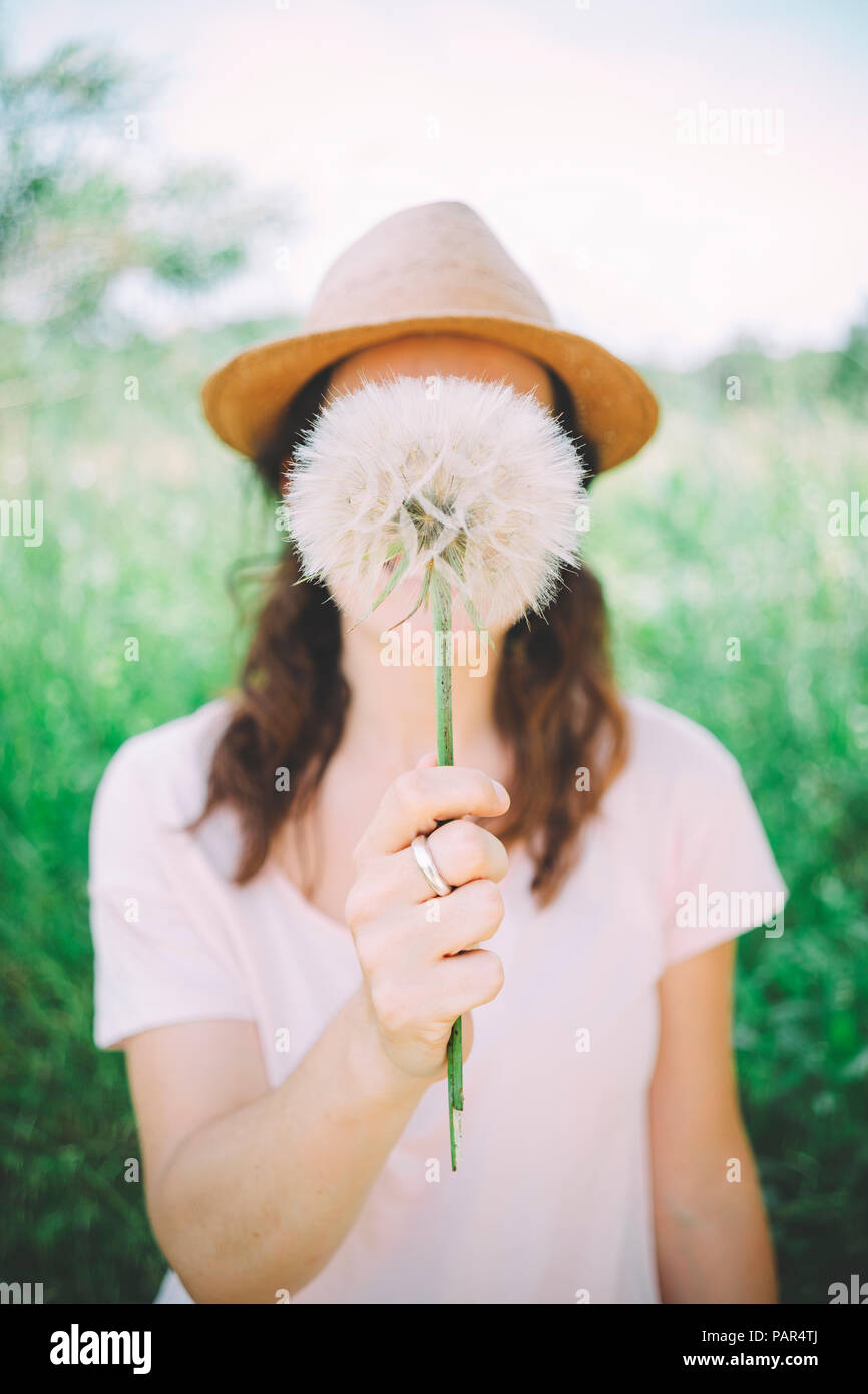 Woman's Hand blowball, close-up Stockfoto