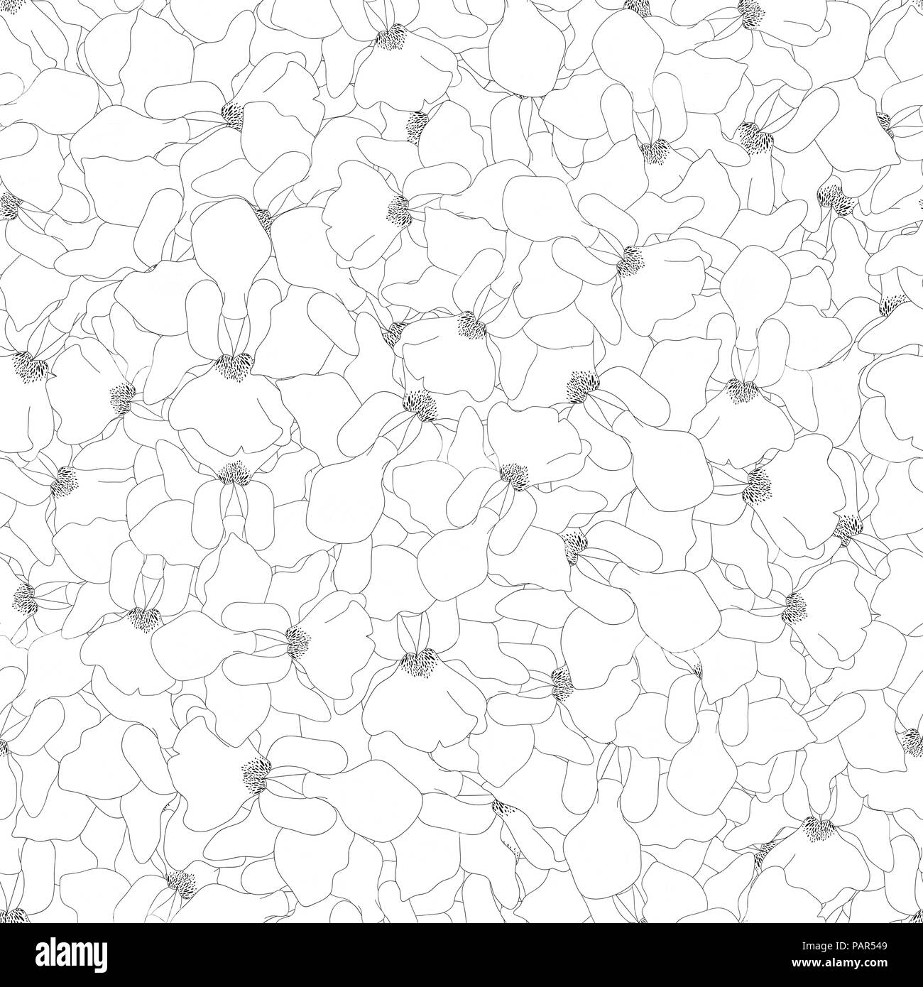 Vanda Miss Joaquim Orchid Umrisse nahtlose Hintergrund. Singapur nationale Blume. Vector Illustration. Stock Vektor