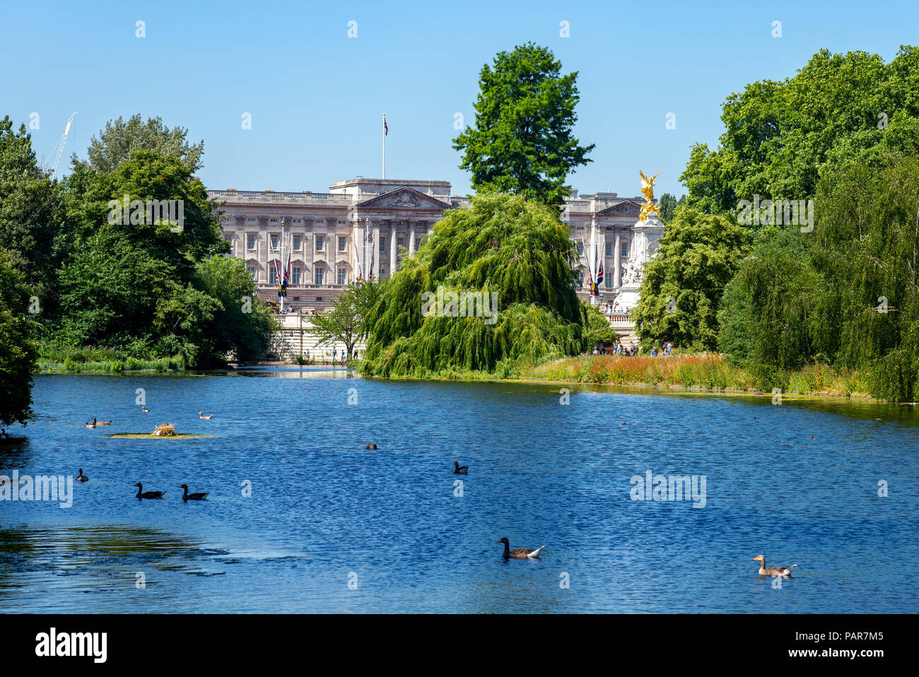 Landschaft von Hyde Park und Buckingham Palace Stockfoto