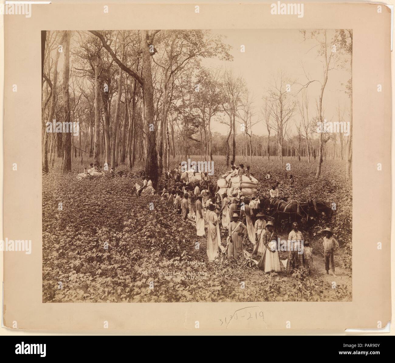 12 Uhr in der Abstumpfung. Artist: John Horgan Jr. (American, aktive 1880s-90s). Abmessungen: Bild: 17. × 19 cm. (43,2 × 48,9 cm): 20 1/4 x 24 1/4 in. (51,5 × 61,5 cm). Datum: Ca. 1891. Museum: Metropolitan Museum of Art, New York, USA. Stockfoto