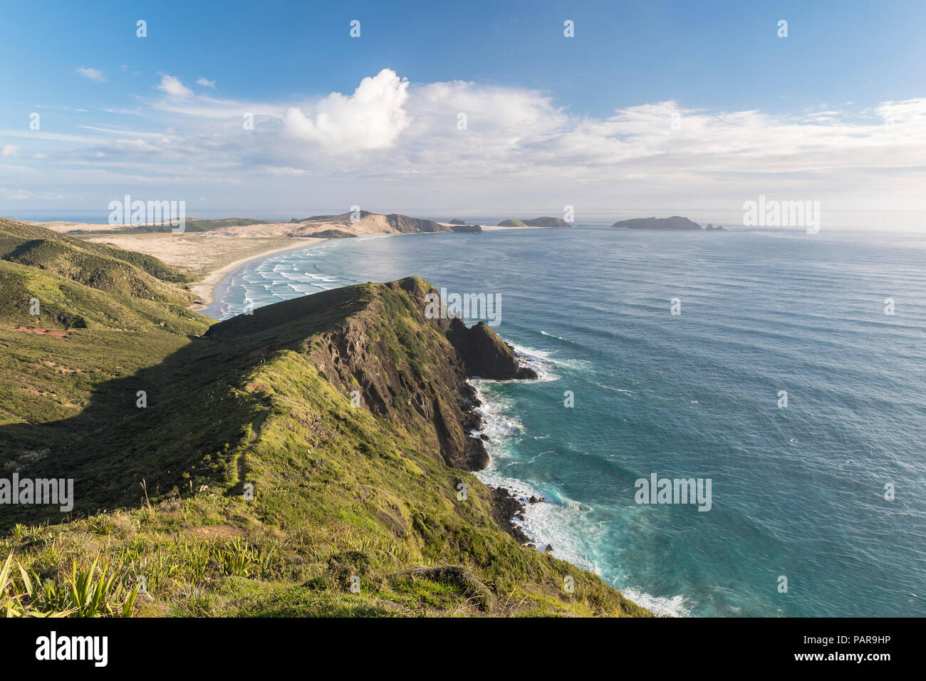 Felsige Küste am Cape Reinga, Northland, North Island, Neuseeland Stockfoto