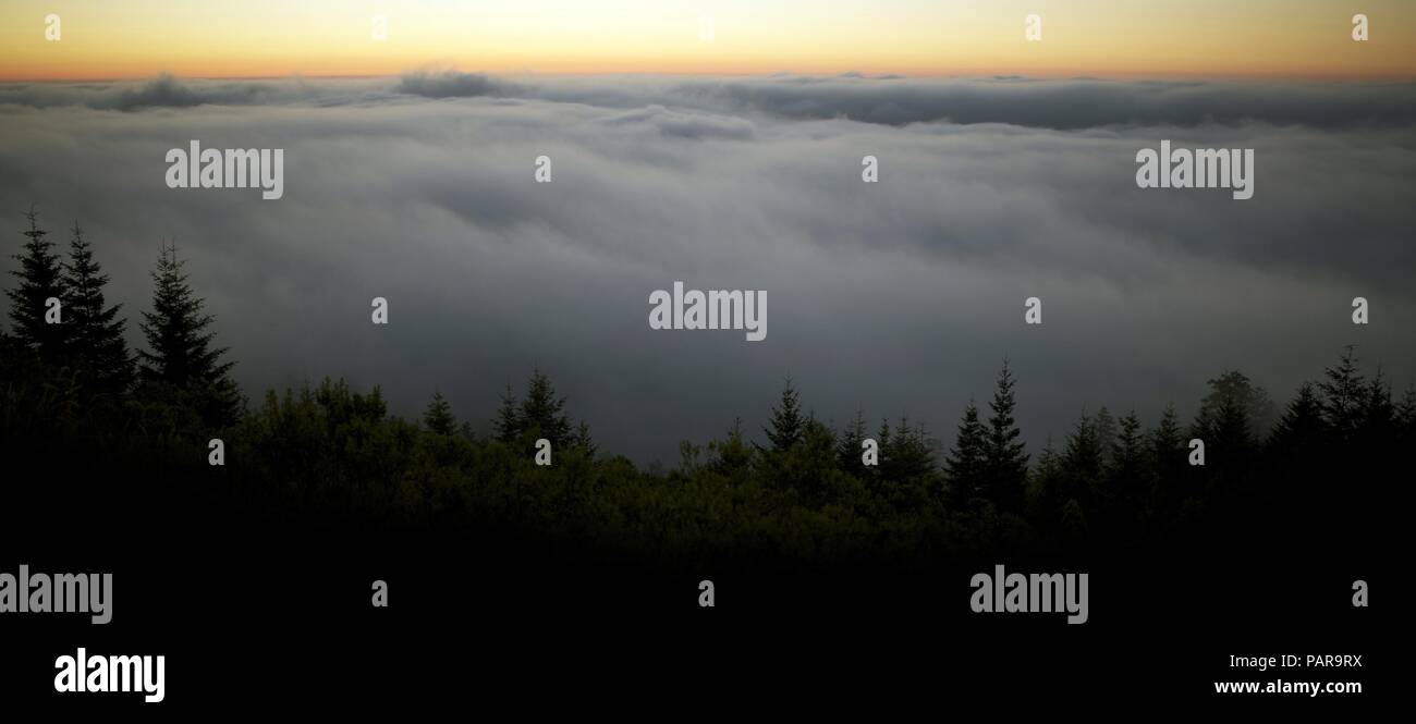 Malerische nebligen Landschaft. Nebel unter dem Gipfel des Berges. Sunset Landschaft. Port Angeles, Washington, United States. Panoramablick auf das Foto. Stockfoto