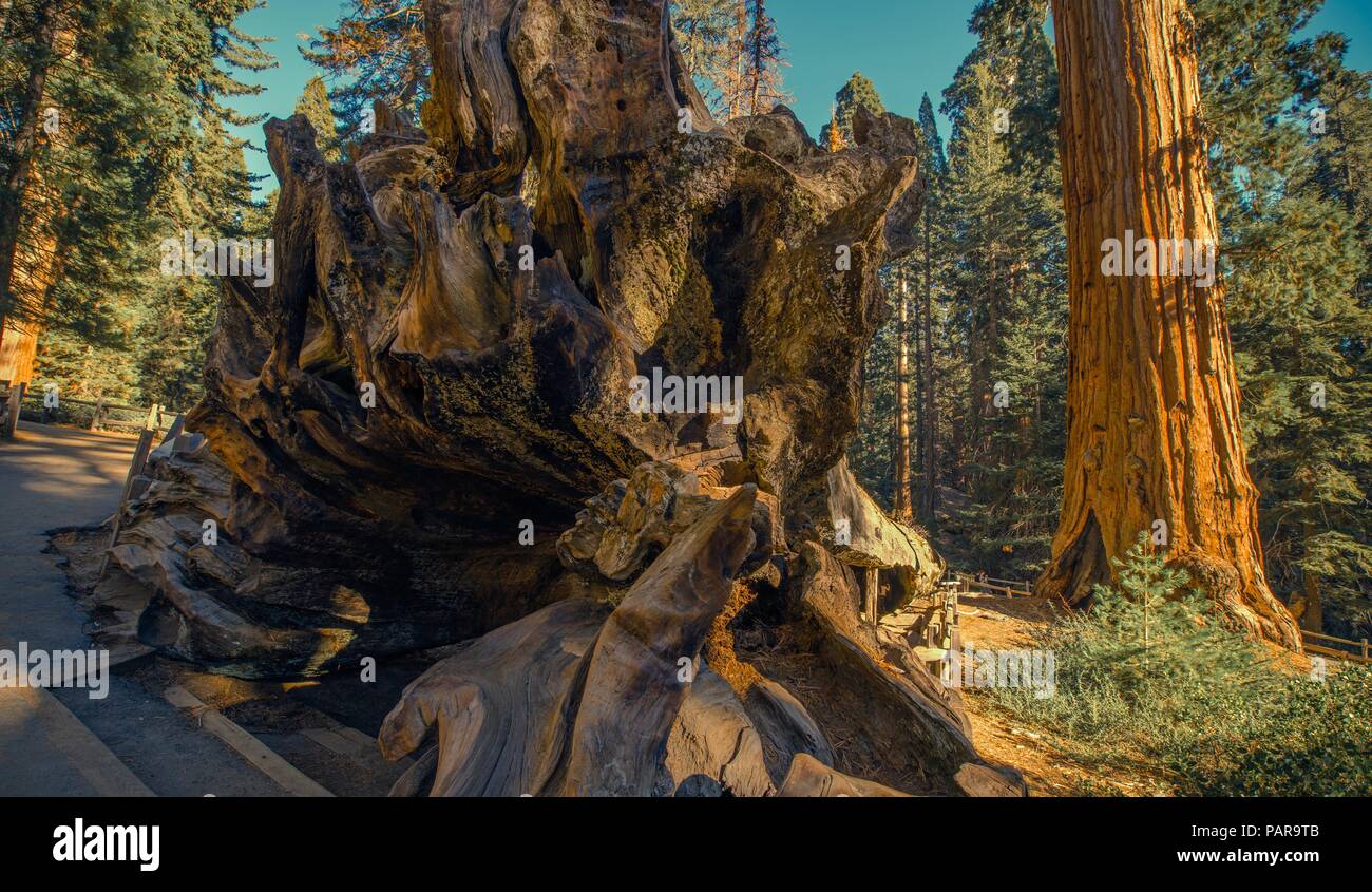 Kalifornien Sequoia National Park statt. Die Berge der Sierra Nevada. Stockfoto