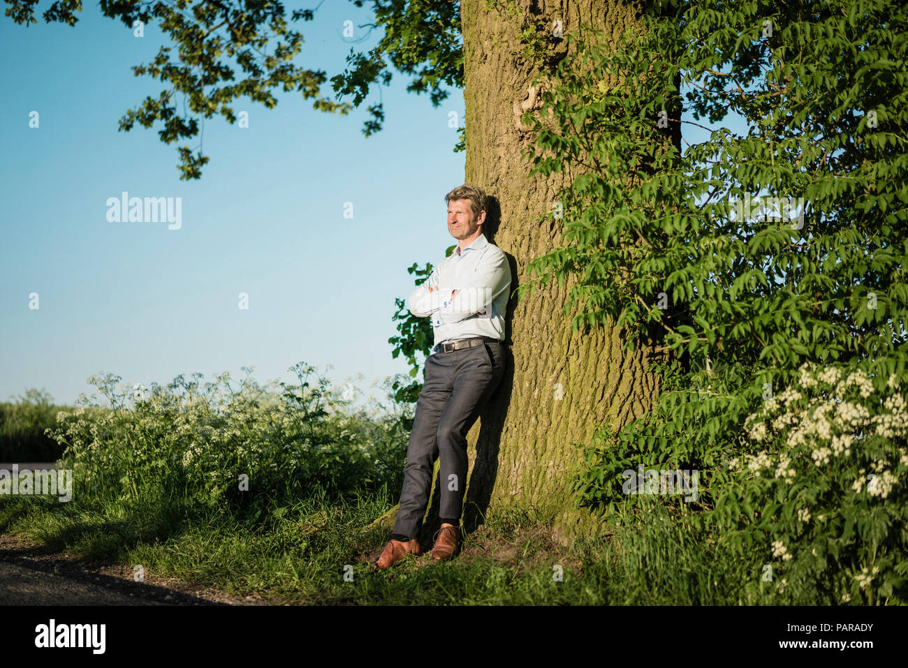 Unternehmer lehnen auf Baum Stockfoto