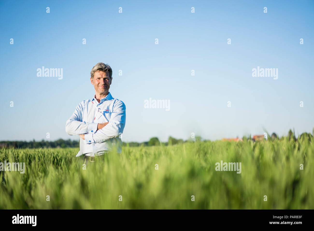 Unternehmer stehen im Feld Struktur, Arme gekreuzt Stockfoto