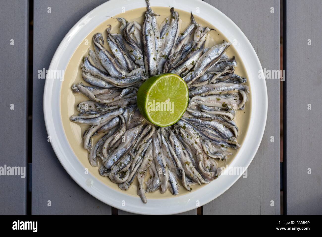 Platte von marinierte Sardellen oder Boquerones en Vinagre, eine Spanische Tapas Teller Stockfoto