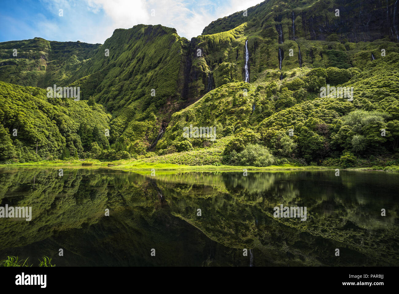 Poco da Ribeira do Ferreiro, Flores, Azoren, Portugal. Stockfoto