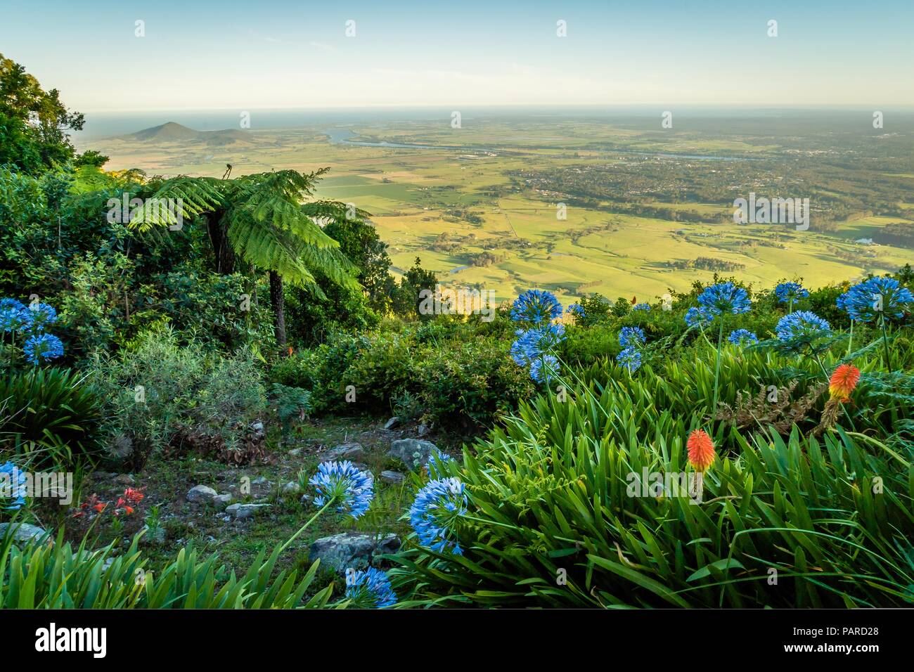 Cambewarra Lookout mit Berrys Bay und Shoalhaven River im Hintergrund Stockfoto