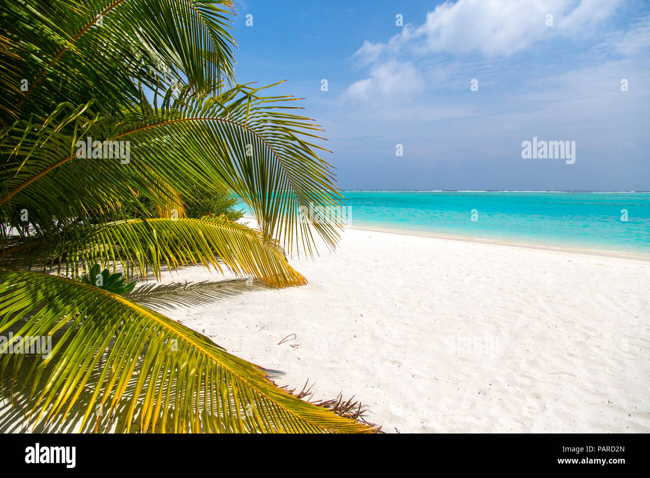 Malediven Beach Meeru Stockfoto