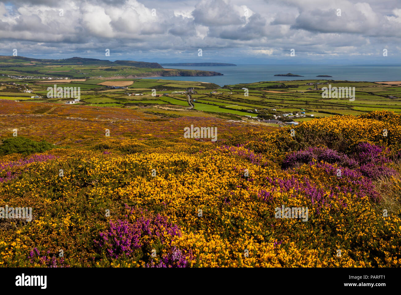 Am Aussichtspunkt Braich y Pwll Stockfoto