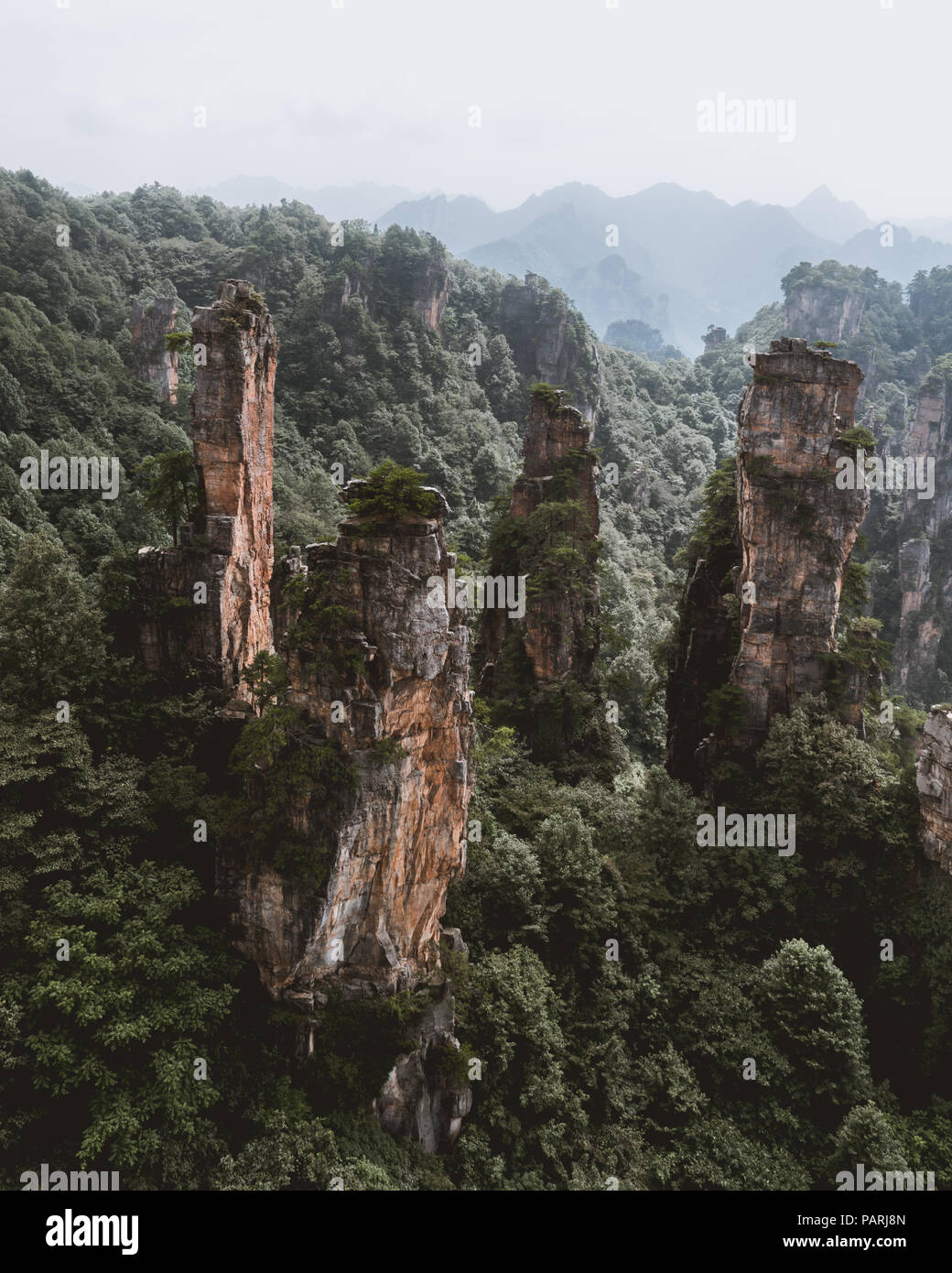 Epische Landschaft Blick auf Steinsäulen in Zhangjiajie National Forest Park, Hunan, China Stockfoto
