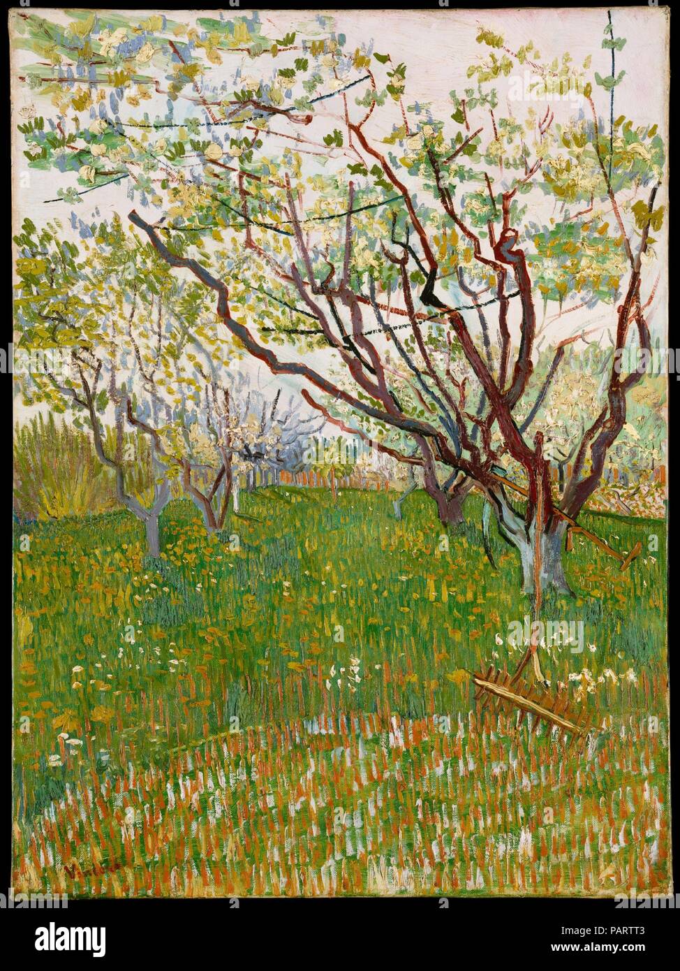Die blühenden Obstgarten. Künstler: Vincent Van Gogh (Niederländisch, Zundert 1853-1890 Auvers-sur-Oise). Abmessungen: 28 1/2 x 21 in. (72,4 x 53,3 cm). Datum: 1888. Die Ankunft des Frühlings in Arles 1888 fand Van Gogh' in einer Wut der Arbeit." Als er zu seinem Bruder Theo schrieb: "Die Bäume beginnen zu blühen und ich möchte eine provenzalische Obstgarten von großer Fröhlichkeit zu tun.' zwischen Ende März und Ende April, die Künstler gewidmet 14 Leinwände zum Gegenstand, die in einer Reihe von Größen, Formaten und Stilen. Diese Komposition, die durch die Kantigen, länglichen Zweige der knospenden Bäumen dominiert, zeugt von Van Gogh's ad Stockfoto