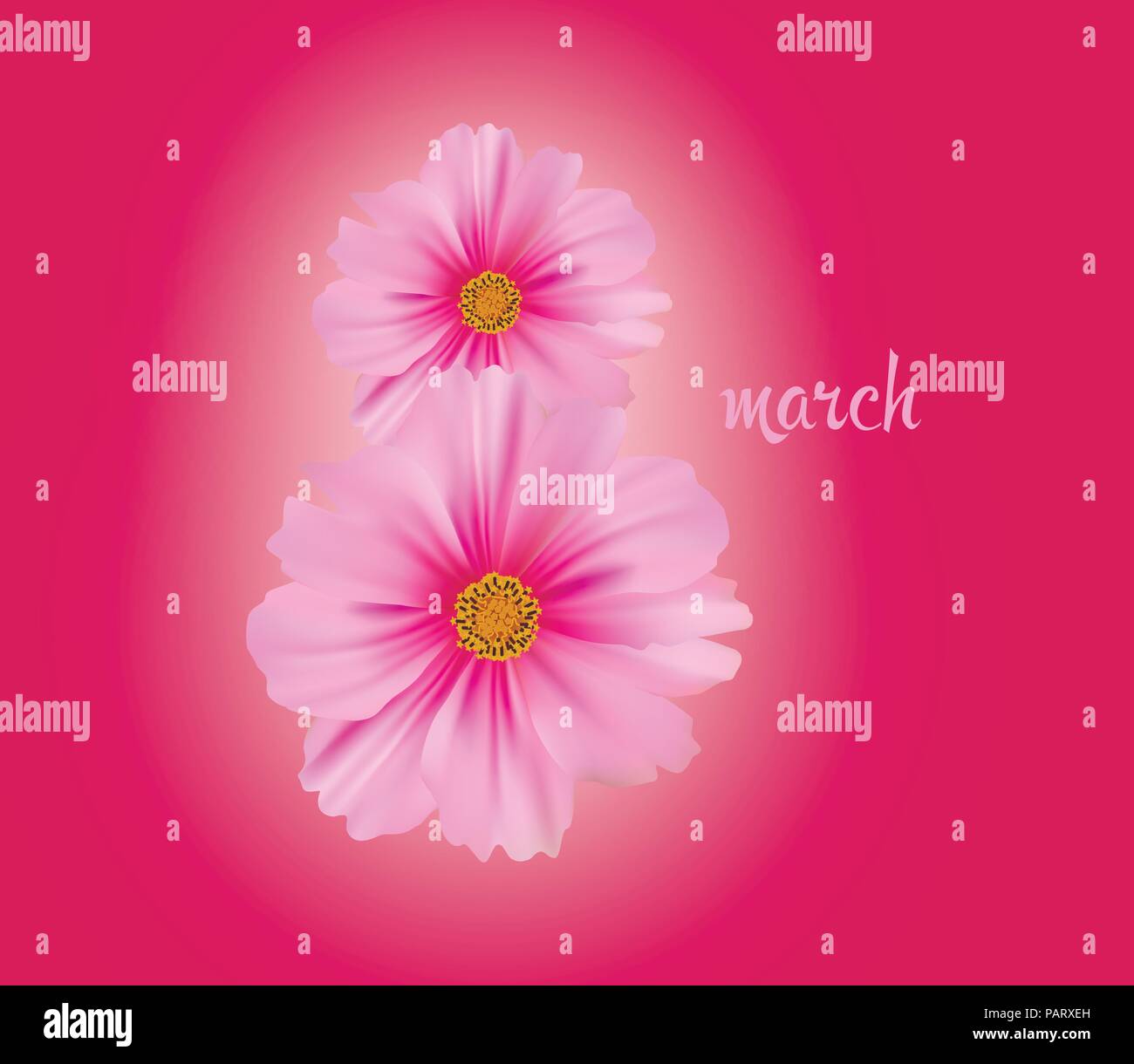 Tag der Frauen Grußkarte. Postkarte am 8. März. Stock Vektor