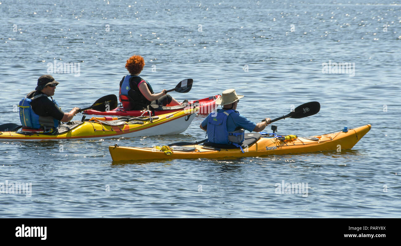 Drei Personen in Kajaks paddeln auf ruhigem Wasser in Cardiff Bay Stockfoto