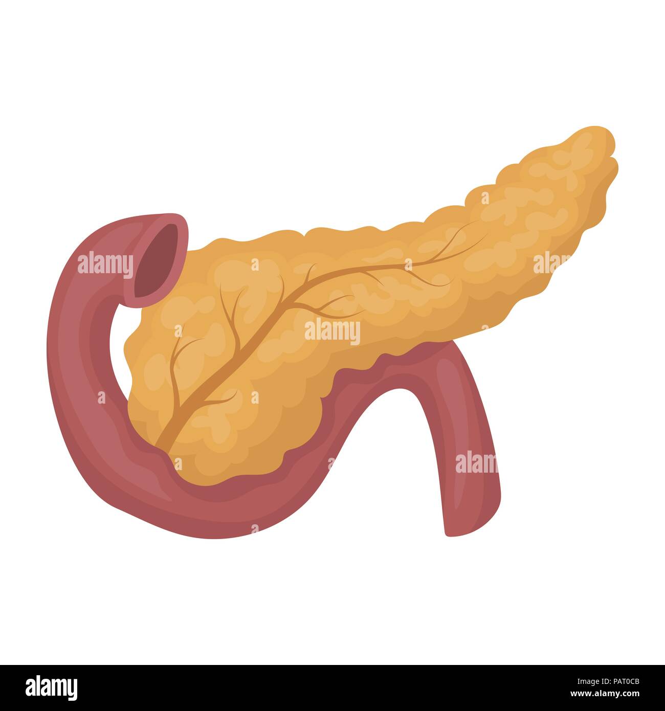 Pankreas Symbol im Comic-stil auf weißem Hintergrund. Organe symbol Vektor Illustration. Stock Vektor