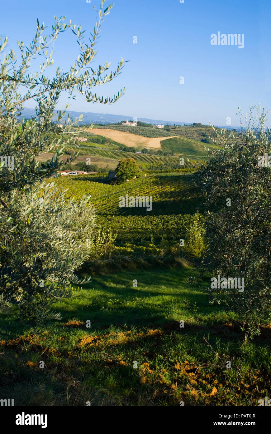 Europa, Italien, Toskana, Landschaft in der Nähe von San Gimignano. Stockfoto