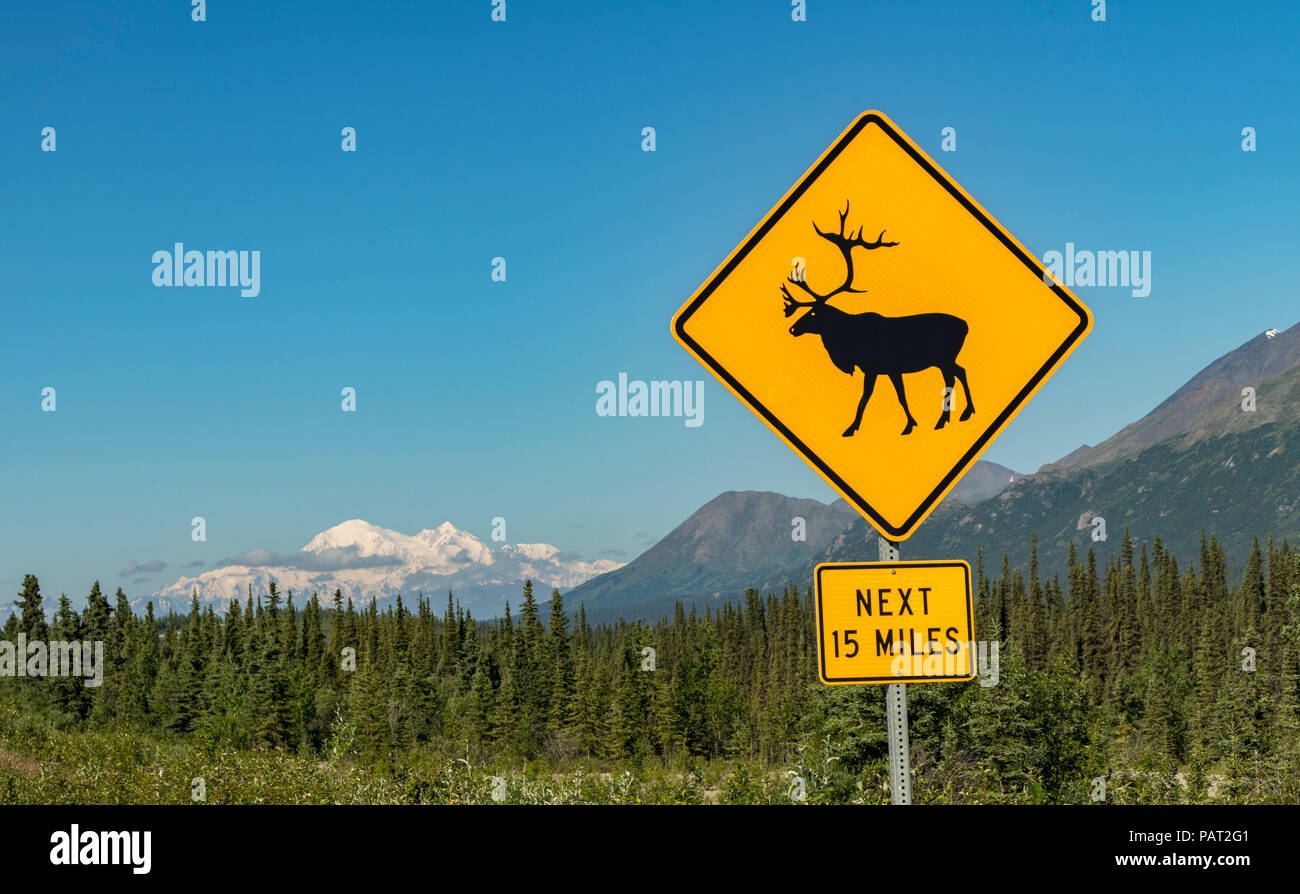 Caribou Crossing Schild mit Denali (Mount McKinley) im Hintergrund, auf einem Highway im Denali National Park, Alaska, USA im Sommer. Stockfoto