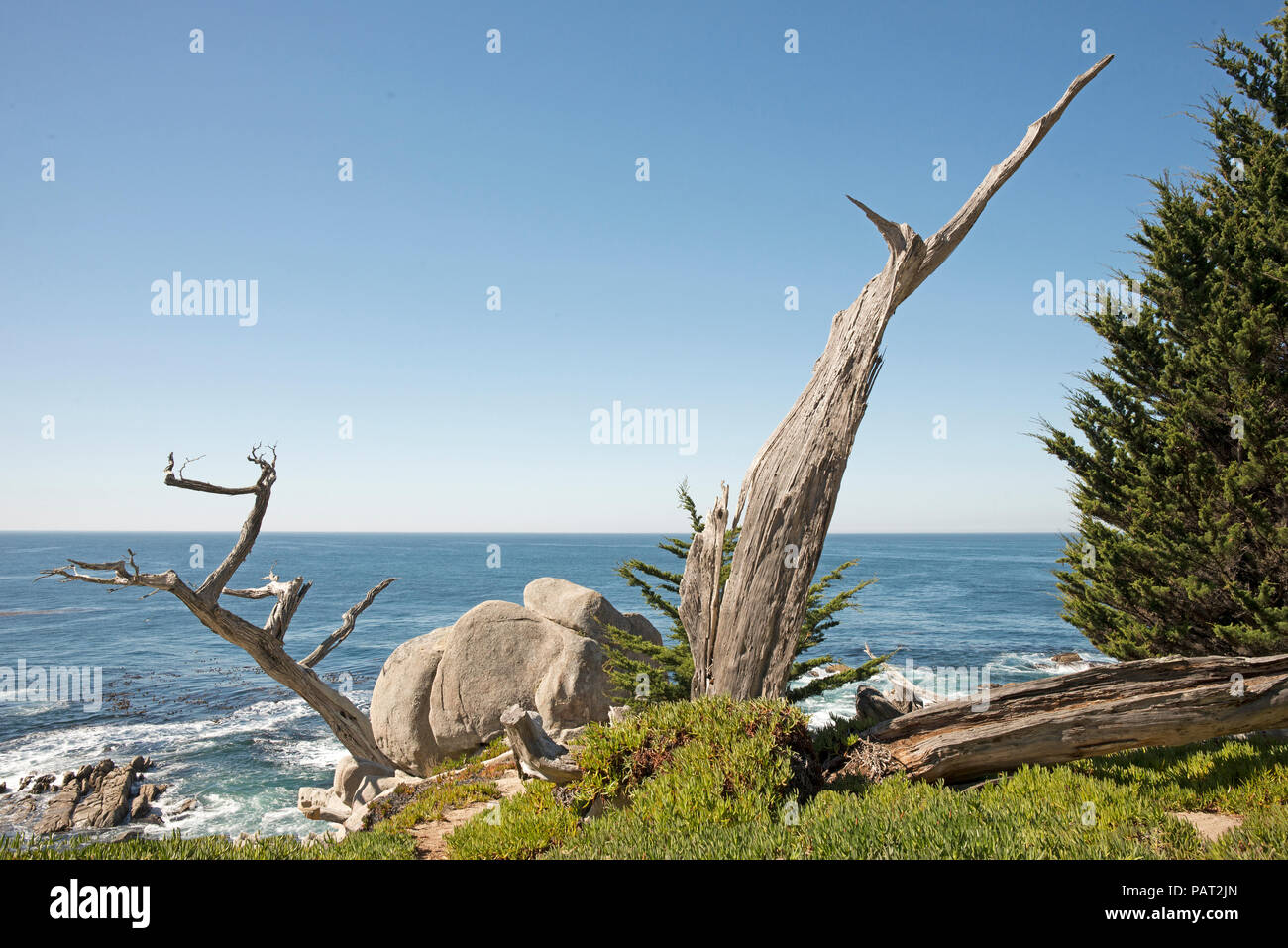 Pescadero Punkt, der 17-Mile Drive, Kalifornien Stockfoto
